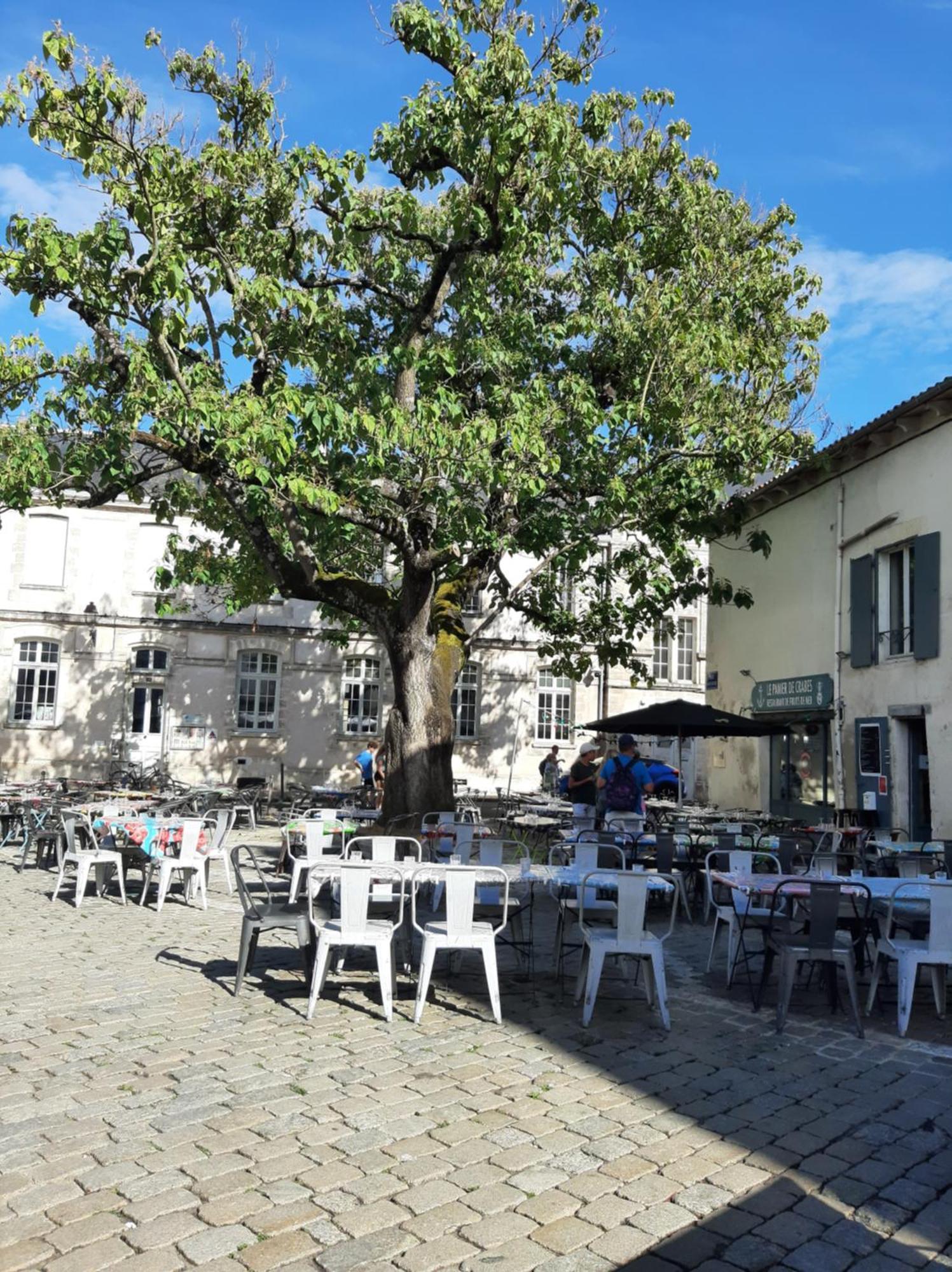 Comtesse Apartment La Rochelle  Exterior photo
